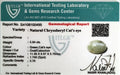 ITLGR_100495_CERTIFICATE.webp