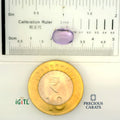 IGITL_200218_SCALE.webp