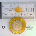 ITLGR_100544_SCALE.webp