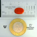 ITLGR_104498_SCALE.webp