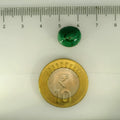 ITLGR_113230_SCALE.webp