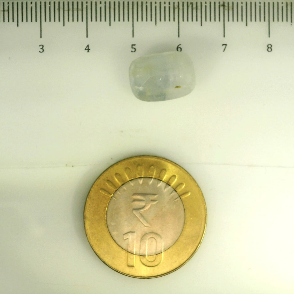 IGITL_201527_SCALE.webp