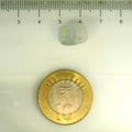 IGITL_201527_SCALE.webp