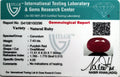 ITLGR_100296_CERTIFICATE.webp