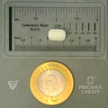 ITLGR_102037_SCALE.webp