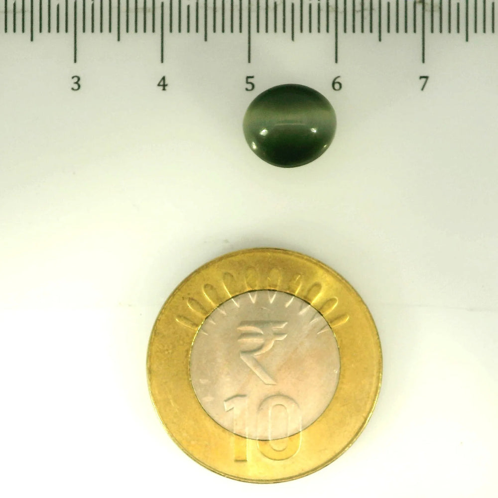 ITLGR_107101_SCALE.webp