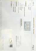 IIGJ_12879D52998_CERTIFICATE.webp