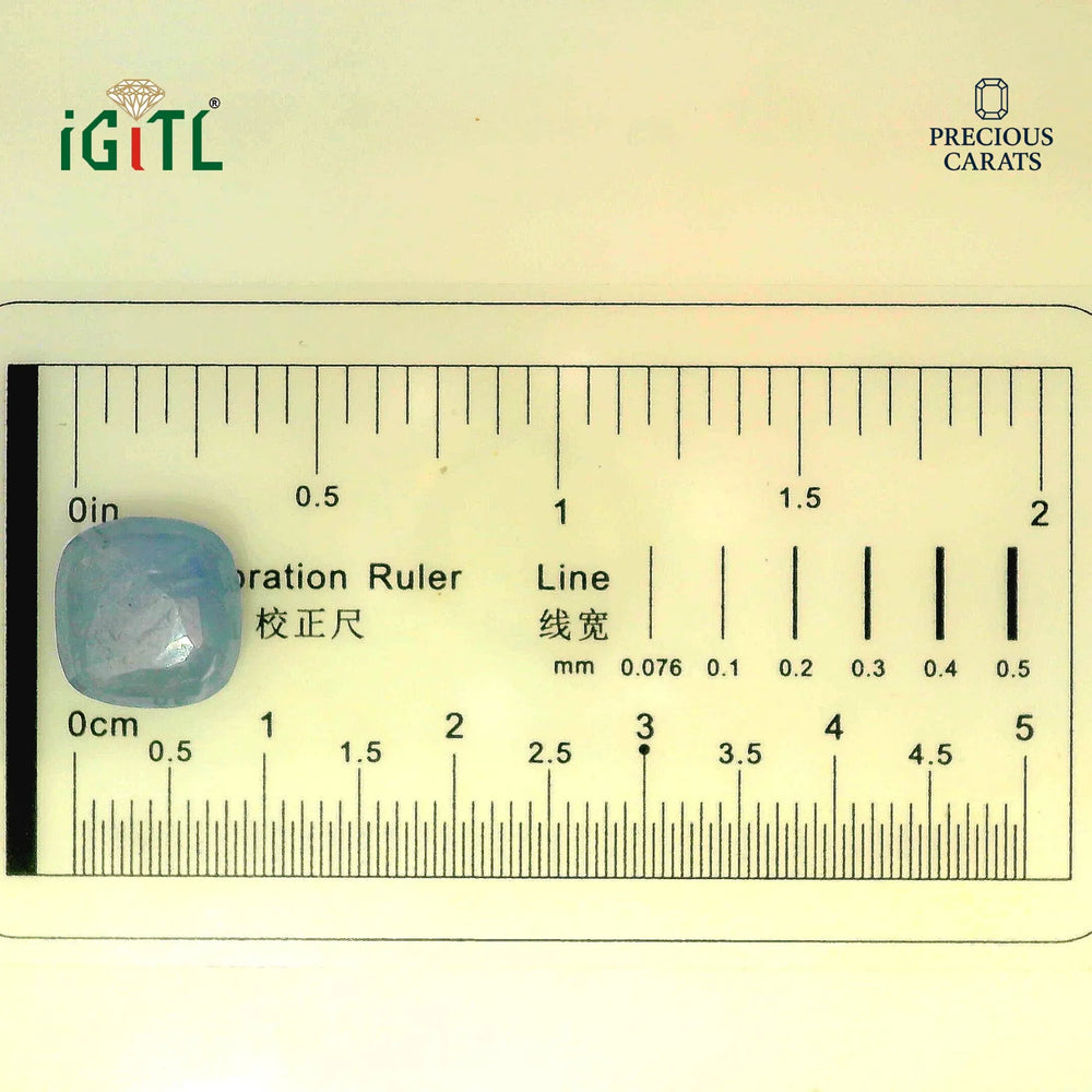 IGITL_194692_SCALE.webp