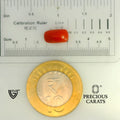 ITLGR_104540_SCALE.webp