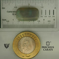 ITLGR_101952_SCALE.webp