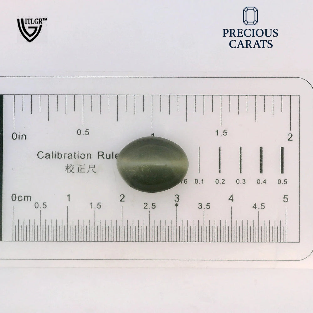 ITLGR_100587_SCALE.webp