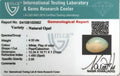 ITLGR_100562_CERTIFICATE.webp