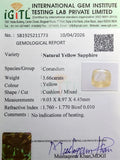 IGITL_211773_CERTIFICATE.webp