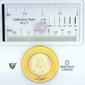 ITLGR_99062_SCALE.webp