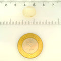 ITLGR_121471_SCALE.webp