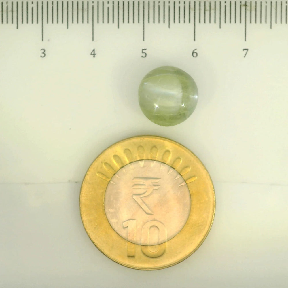 ITLGR_109796_SCALE.webp