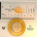 ITLGR_100545_SCALE.webp