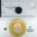 ITLGR_101680_SCALE.webp