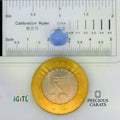 IGITL_197788_SCALE.webp