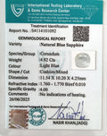 ITLGR_101092_CERTIFICATE.webp