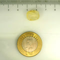 IGITL_201533_SCALE.webp
