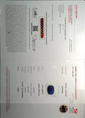 GFCO_33925-1_CERTIFICATE.webp