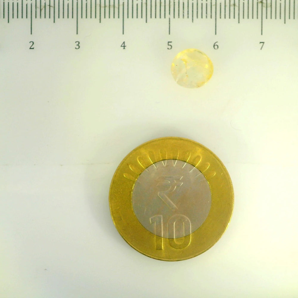 IGITL_200269_SCALE.webp