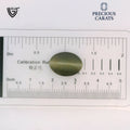 ITLGR_100585_SCALE.webp