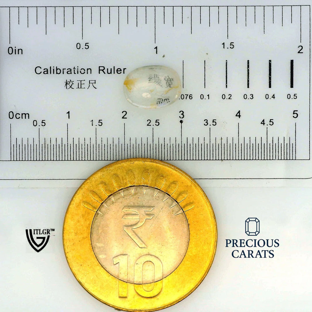ITLGR_100349_SCALE.webp