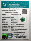 ITLGR_105065_CERTIFICATE.webp