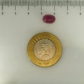 ITLGR_112882_SCALE.webp