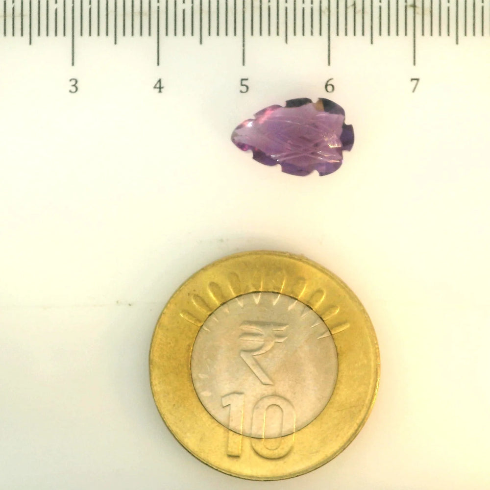 ITLGR_109434_SCALE.webp