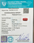 ITLGR_121335_CERTIFICATE.webp