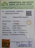 IGITL_200280_CERTIFICATE.webp