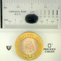 ITLGR_101644_SCALE.webp