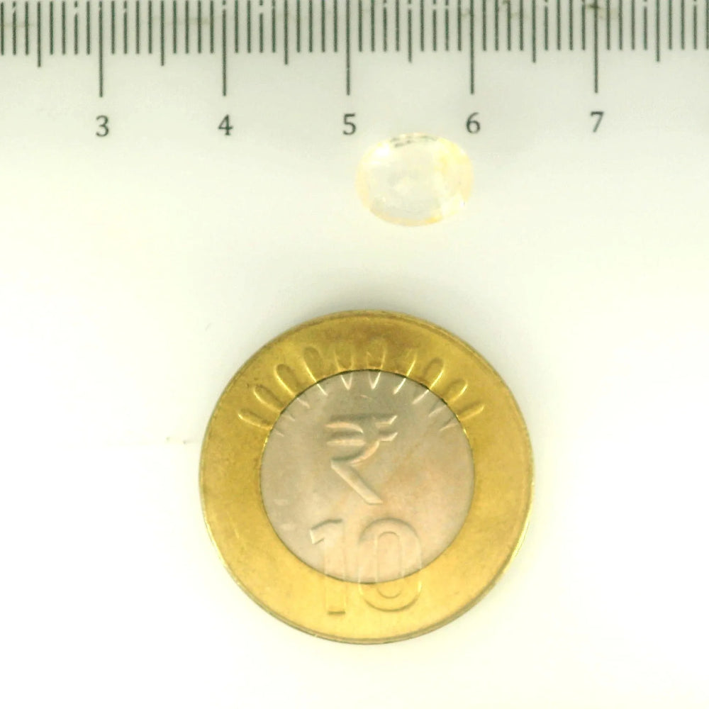 ITLGR_104964_SCALE.webp