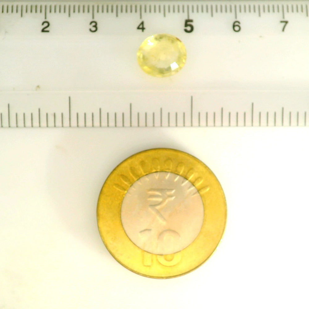 IGITL_211661_SCALE.webp