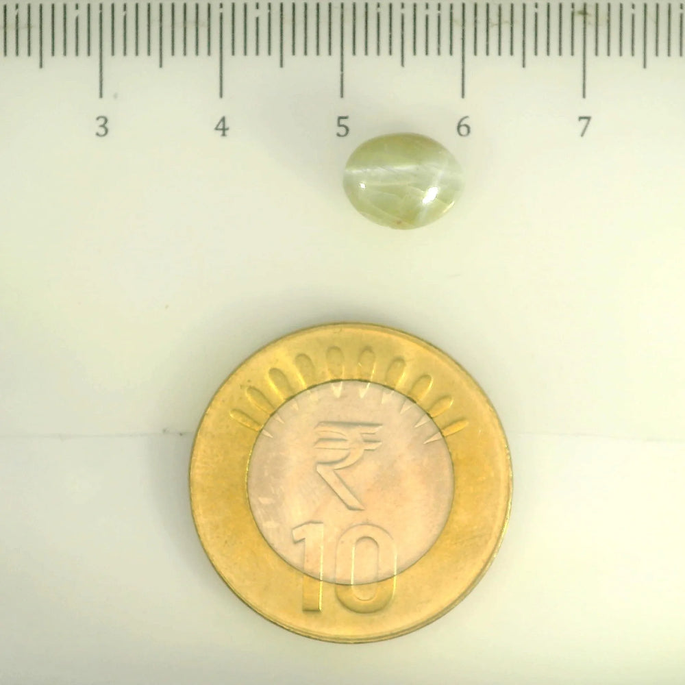 ITLGR_109811_SCALE.webp
