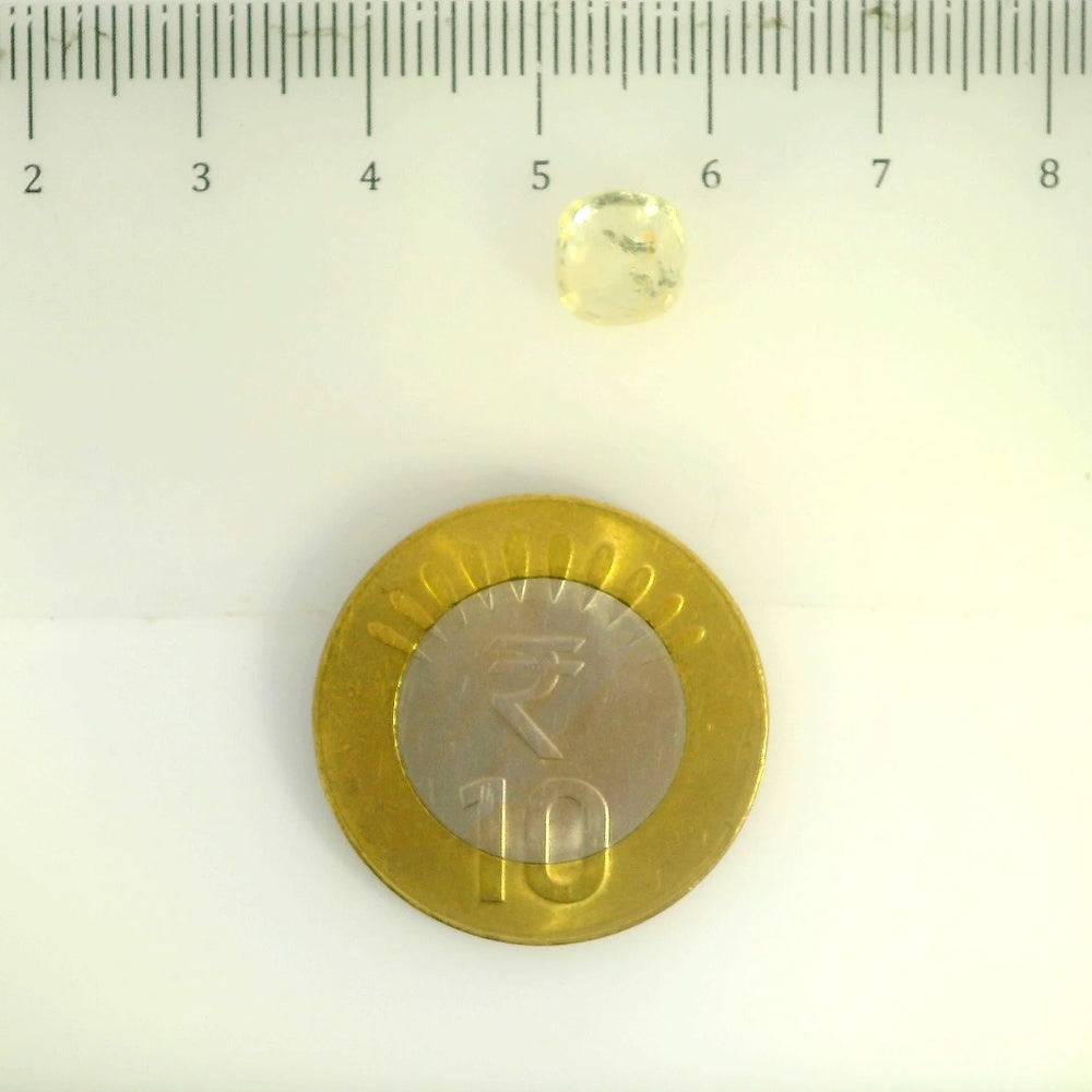 IGITL_200334_SCALE.webp