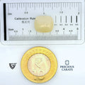 ITLGR_99045_SCALE.webp