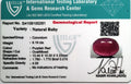 ITLGR_100281_CERTIFICATE.webp