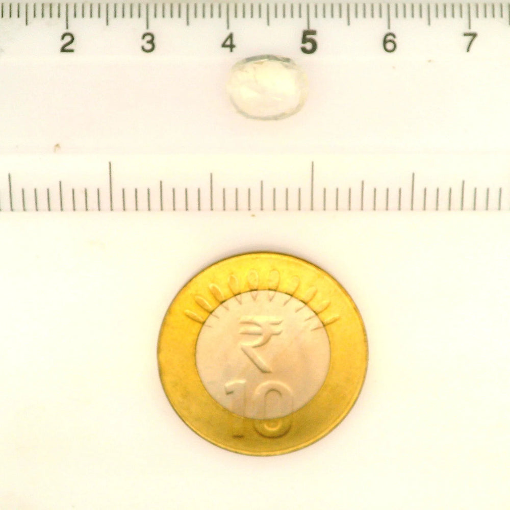 IGITL_212062_SCALE.webp