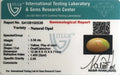 ITLGR_100538_CERTIFICATE.webp