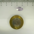 ITLGR_113036_SCALE.webp
