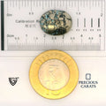 ITLGR_100853_SCALE.webp