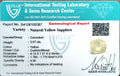 ITLGR_100387_CERTIFICATE.webp