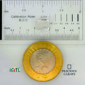 IGITL_197793_SCALE.webp