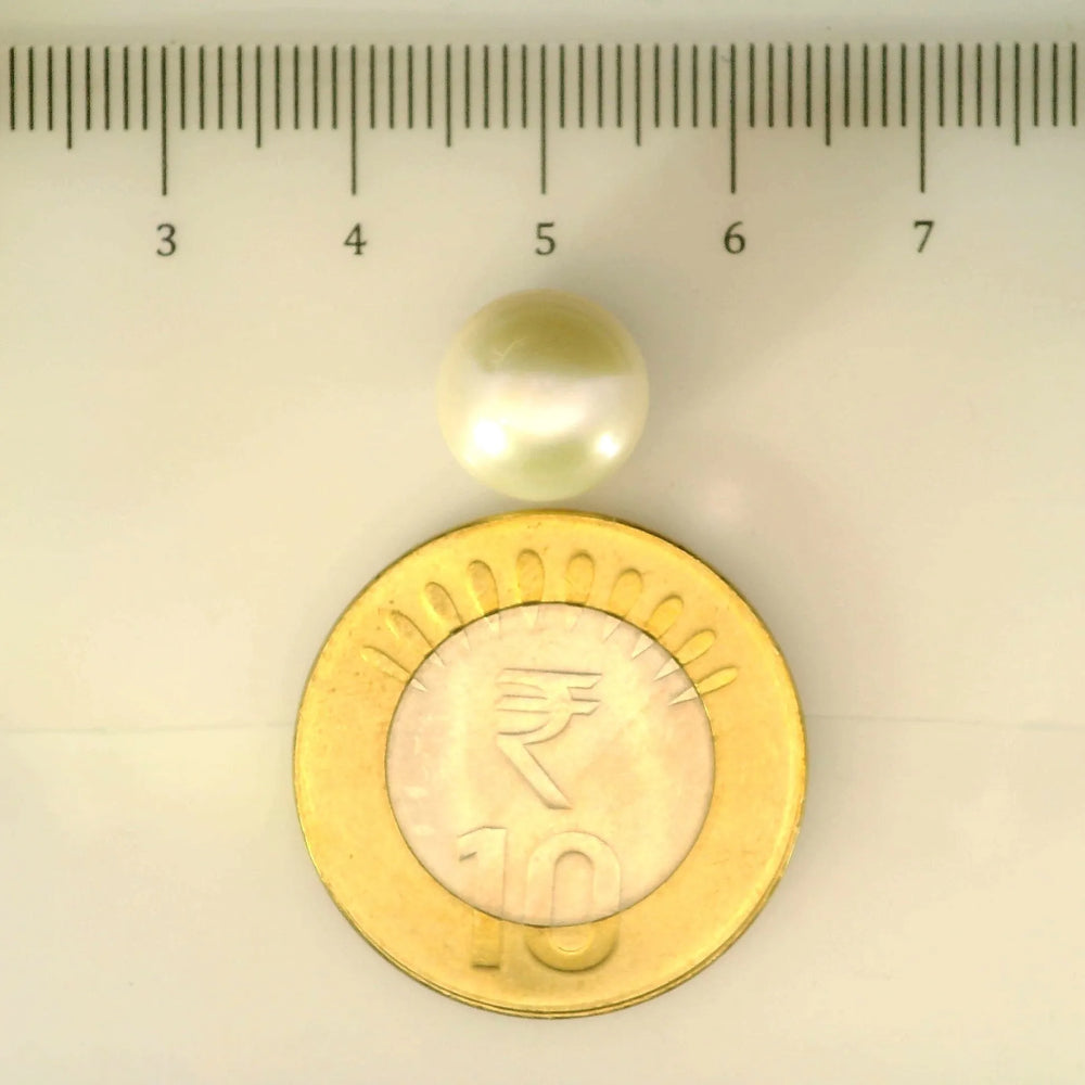ITLGR_106988_SCALE.webp