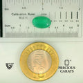 ITLGR_102203_SCALE.webp