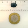 LOTUS_4029-5150_SCALE.webp